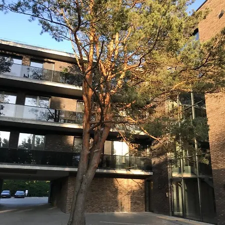 J4 With Terrace * Palanga