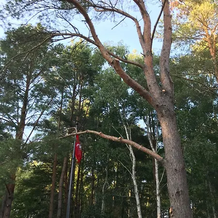 J4 With Terrace Appartamento Palanga